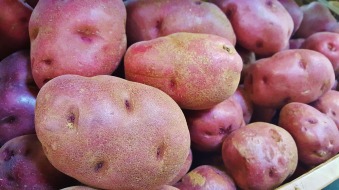 red-potatoes-1353476_1920